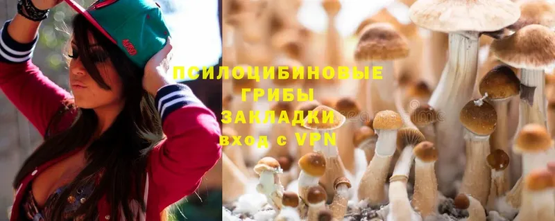 Псилоцибиновые грибы Magic Shrooms  blacksprut зеркало  Каменка  закладка 